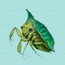 ����ʵ����ģ�������°�����(Creature Lab: Real Evolution)v3 ������