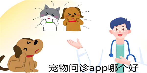 ��������app�ĸ���