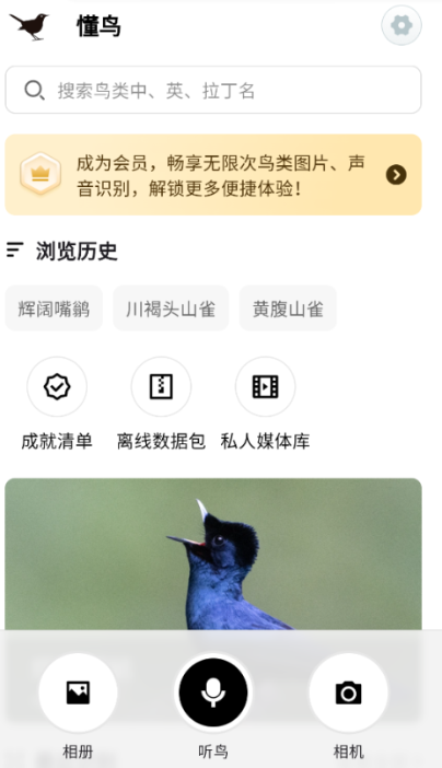 ����app���°�����