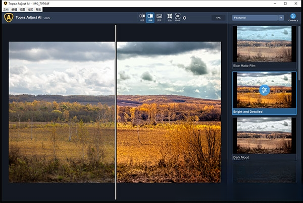 Topaz Adjust AI��ʽ��