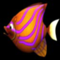 mľ��m�����С���ֻ���(BigFishEatSmallFish)v1.0 ���İ�