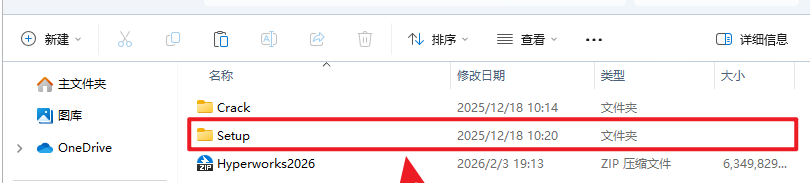 Altair HyperWorks����
