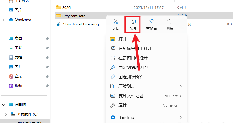 Altair HyperWorks����