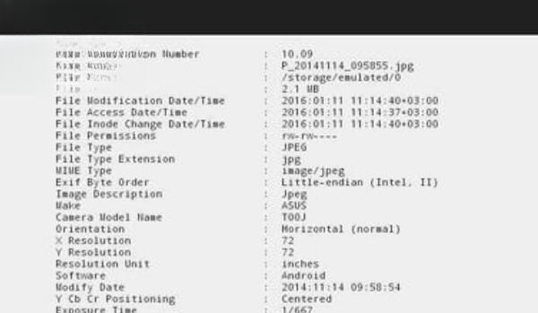 ExifTool for����v13.58�ٷ���