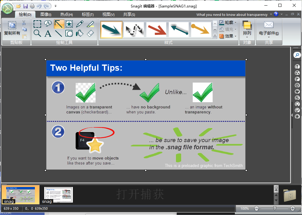 techsmith snagit 11������Ѱ�