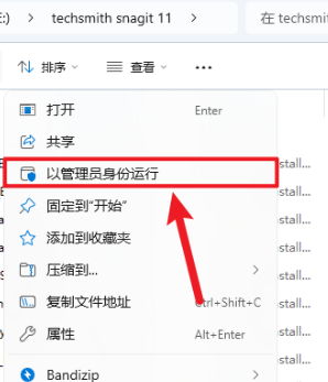 techsmith snagit 11下载 techsmith snagit 11下载