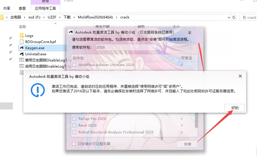 Autodesk Moldflow Insight����