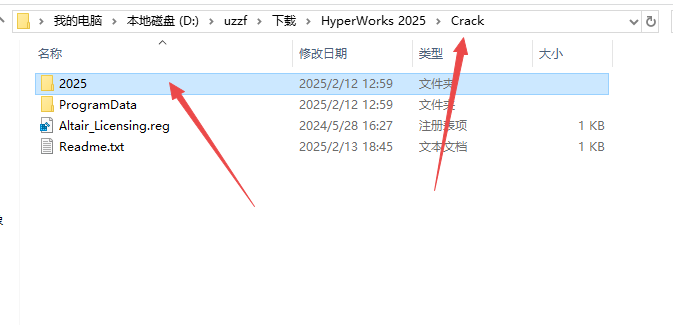Altair HyperWorks����