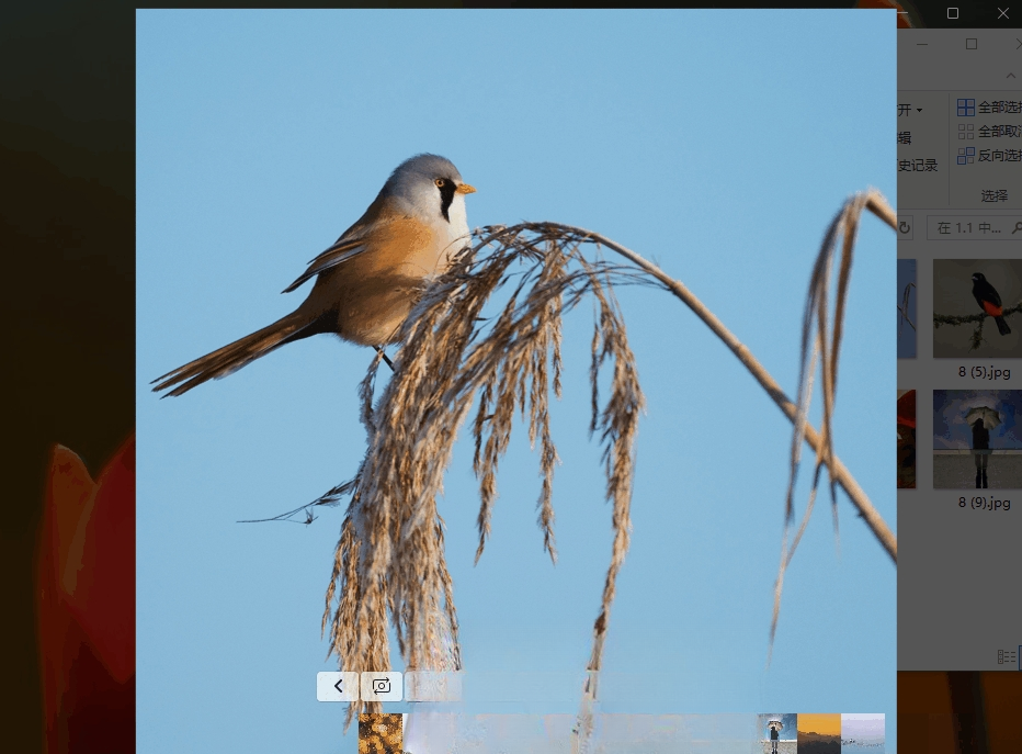 FlyPhotos����v2.6.5��Դƽ��Picasa���ٿ�ͼ����
