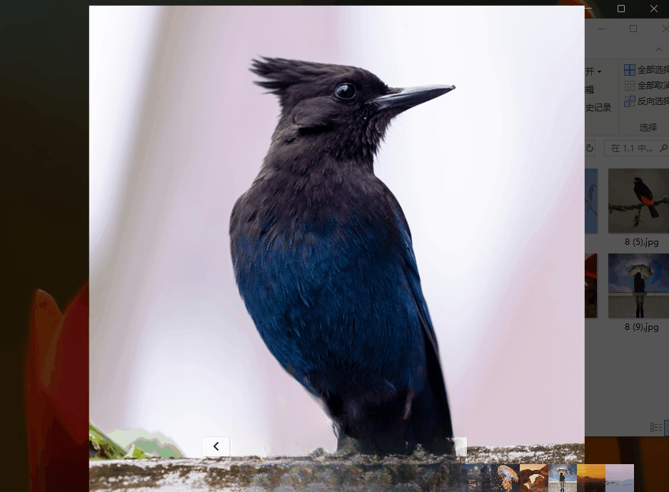 FlyPhotos����