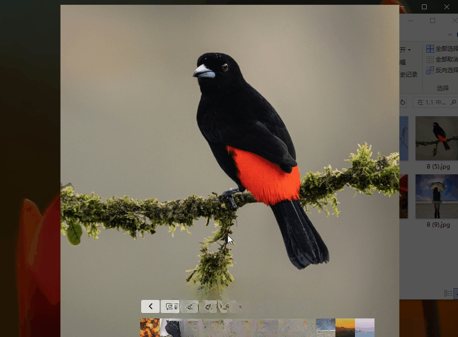 FlyPhotos����