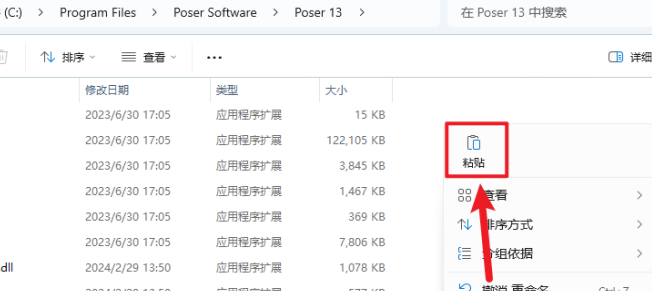 poser13.3������Ѱ�����