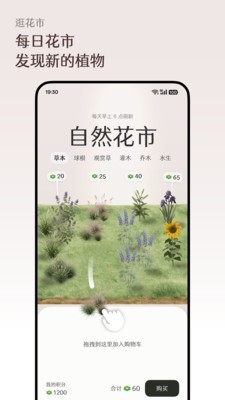 ����Floravale���°�v1.0.0 �ֻ���