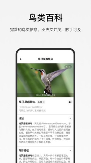 ����app���°�����v1.5.8 �ֻ���