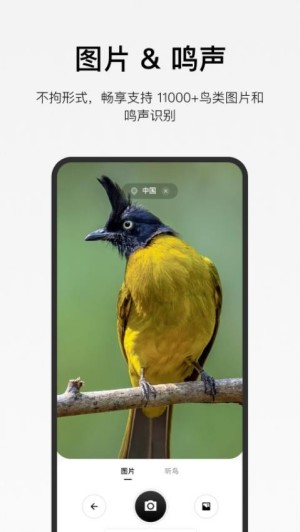 ����app���°�����v1.5.8 �ֻ���