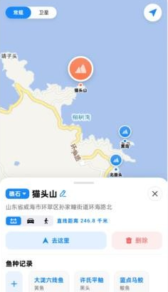 ���APP���°�����