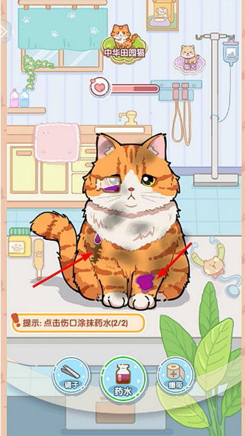 糖果猫游戏下载手机版 糖果猫游戏下载手机版