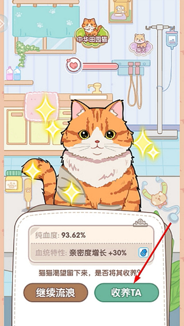 糖果猫游戏下载手机版 糖果猫游戏下载手机版