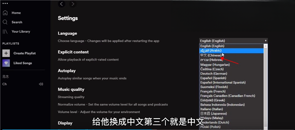 Spotify��ý�����ֲ�����