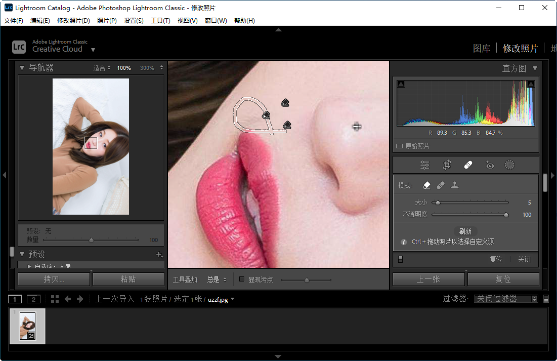 adobe lightroom classic����v12.5.0.1ֱװ��