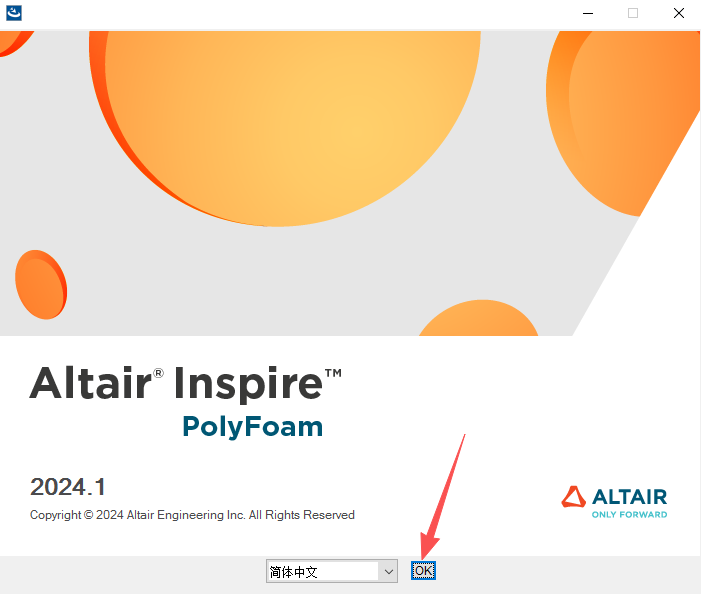 Altair Inspire PolyFoam����