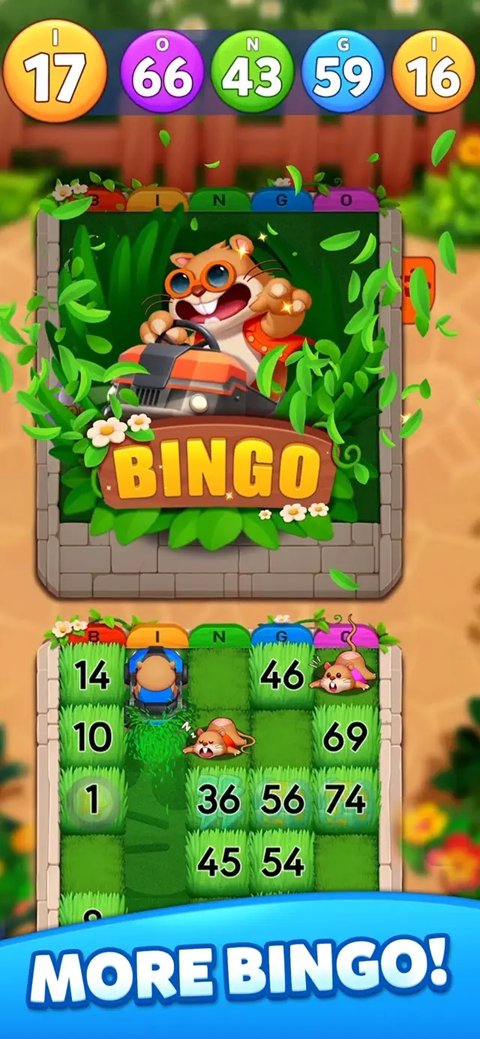 �������������ֻ���(Bingo Voyage��װ��)v1.56.16 ���İ�