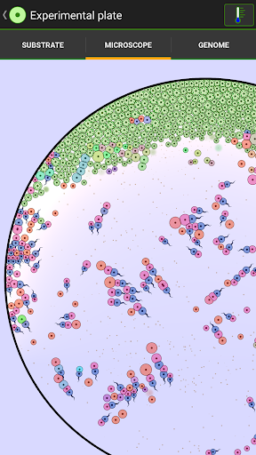 ϸ��ʵ�������ֻ�������v7.4 ���°�