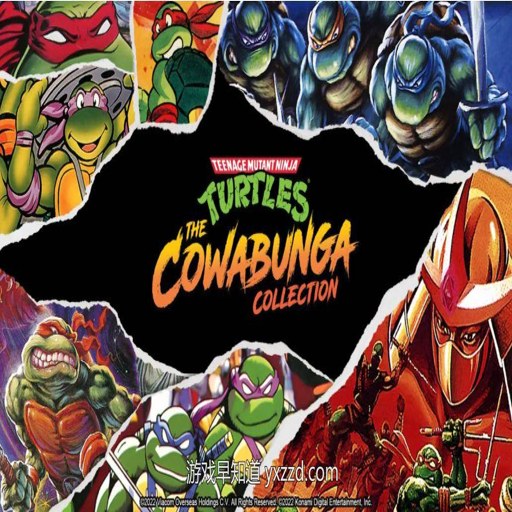 �������TMNT Teenage Mutant Ninja Turtlesv1.0 �ⰲװ��