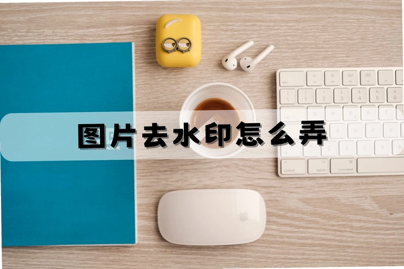 ����Ů�� PacaPlus2.0.0 2026�ٷ���