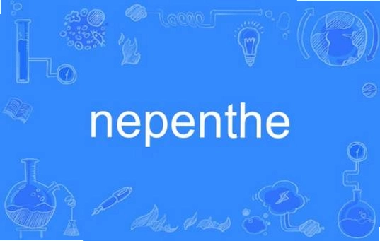 ����ҩNepenthev1.0 ��ɫ�ƽ��