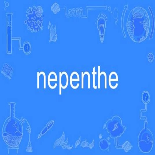 ����ҩNepenthev1.0 ��ɫ�ƽ��