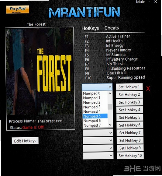 ɭ�� The Forest0.73 �����ƽ��