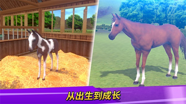 �±����������ֻ���(Derby Life)v1.9.34 ��׿��