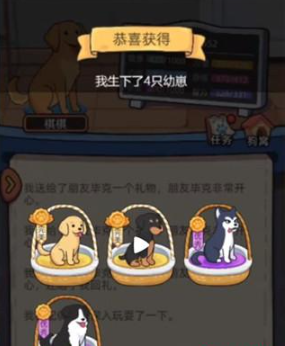 狗生模拟器下载最新版 狗生模拟器下载最新版