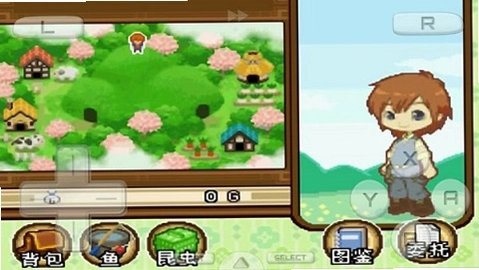 �������˫�Ӵ� Harvest Moon: The Tale of Two Towns2026 ������