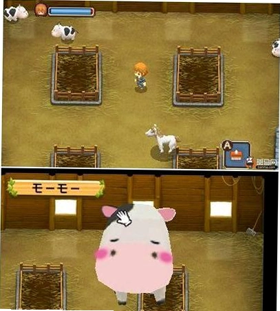 �������˫�Ӵ� Harvest Moon: The Tale of Two Towns2026 ������