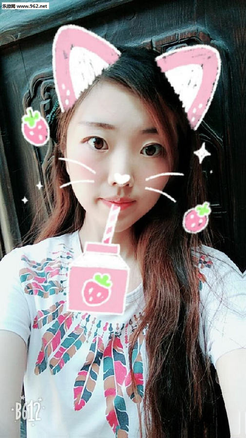 橘猫的一天
