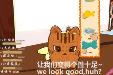 橘猫的一天