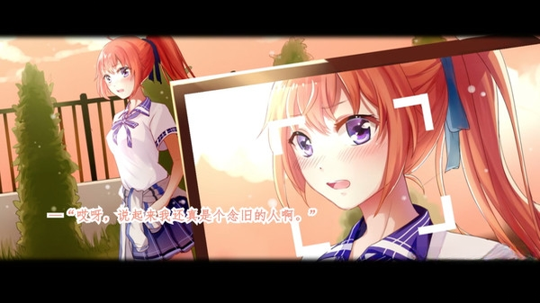 ���ղ��� Summer Cicada1.0.0 ���İ�