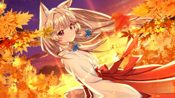 ����Fox Hime1.0 ���İ�