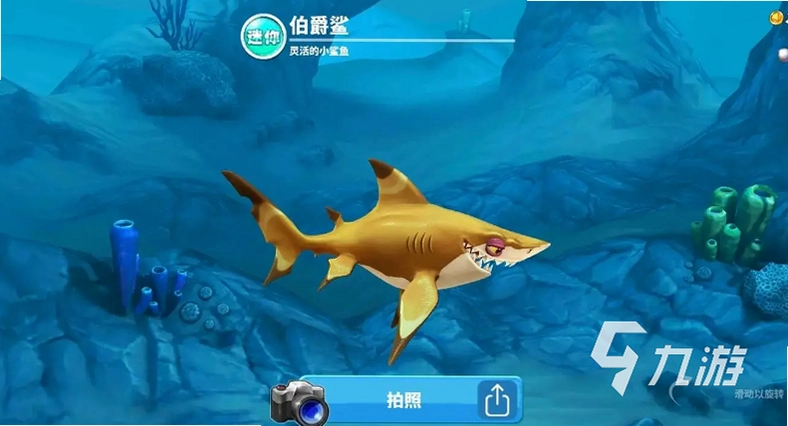 ����ģ���� Shark Simulator1.0.0 ���İ�