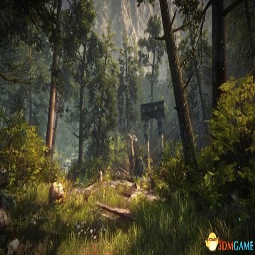 ɭ�� The Forest0.68 ���԰�