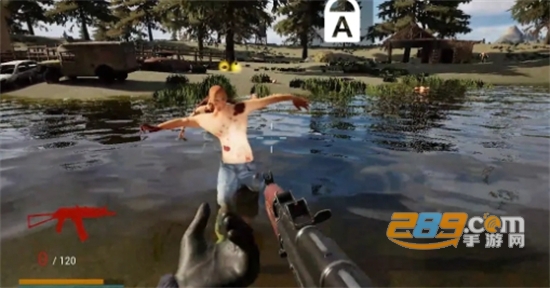 Z����