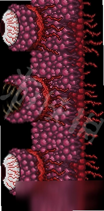 ѪǽBloody Walls1.0 ���İ�