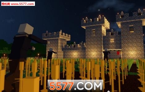 Colony Survival