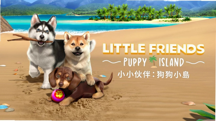 �ϹϹ��� Pumpkin Dog Island2026 ���԰�