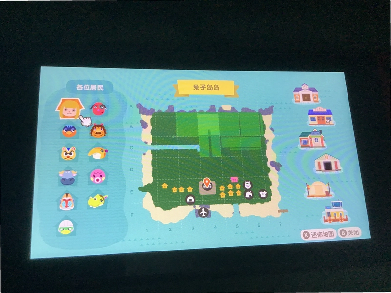 ���ӵ���Rabbit Island��2026 �ƽ��