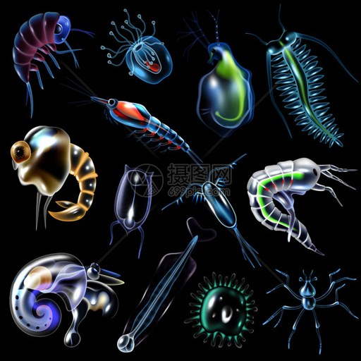 �������� Plankton1.0.0
