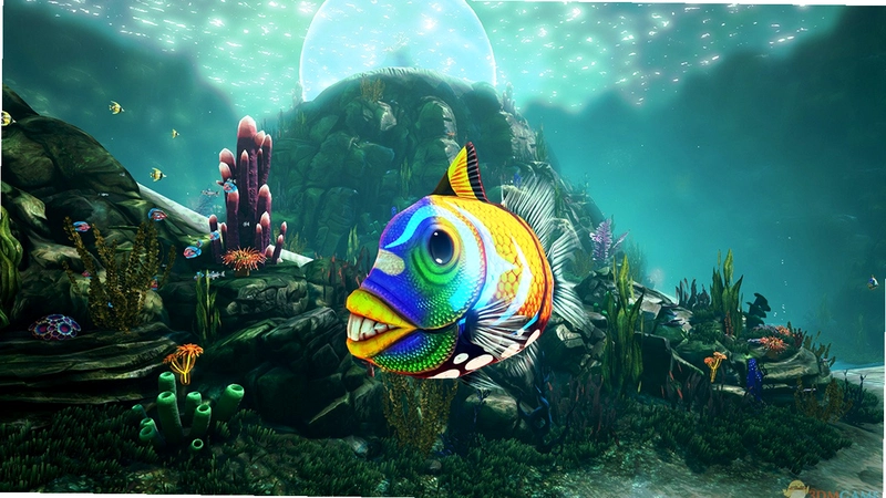 �������� Plankton1.0