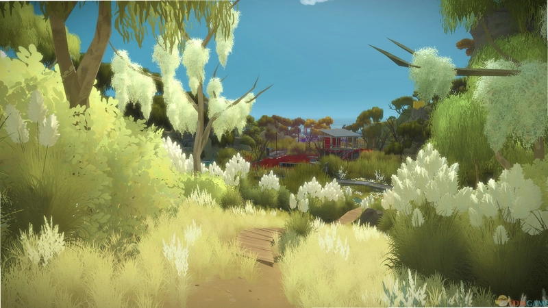 ��֤�� The Witness2026 ���İ�